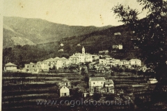 Sciarborasca. Sec, XX